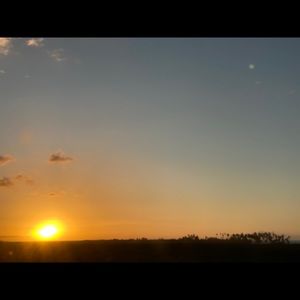 Meet your Posher, Denae